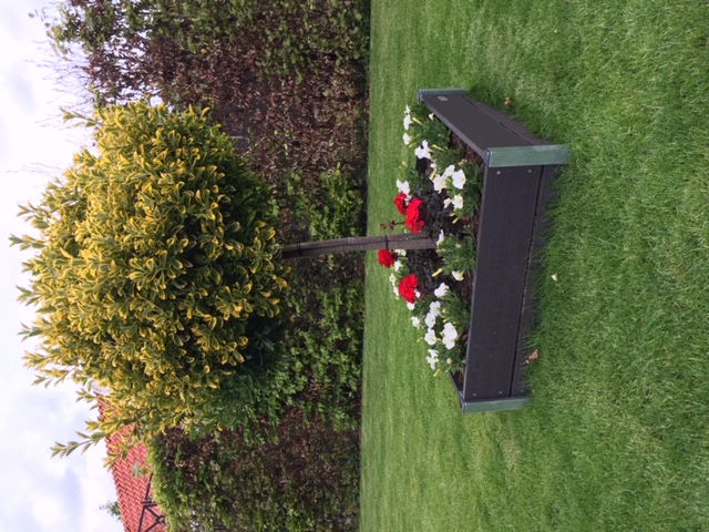 Foto: Bloembak in het gras