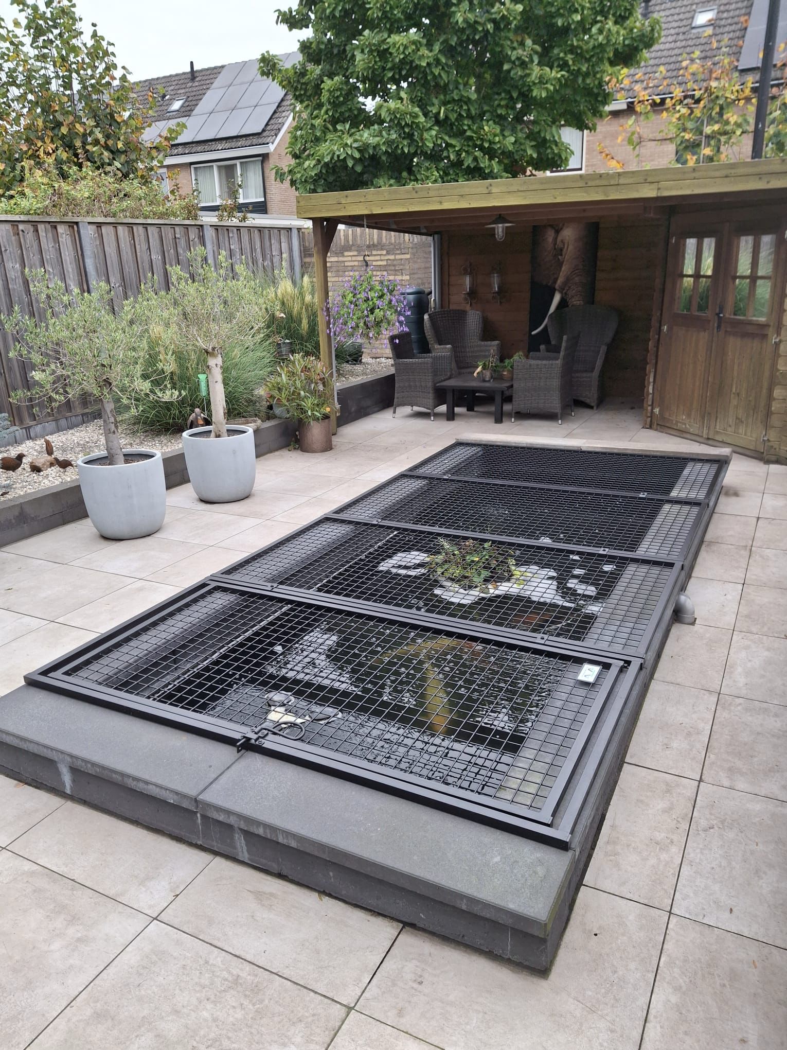 Foto: Gaaspanelen over de vijver