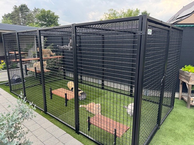 Foto: Kattenren 2 x 4 meter