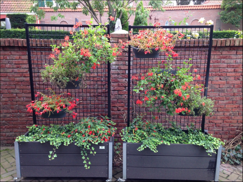 Foto: 2 trellis bak met bloemen
