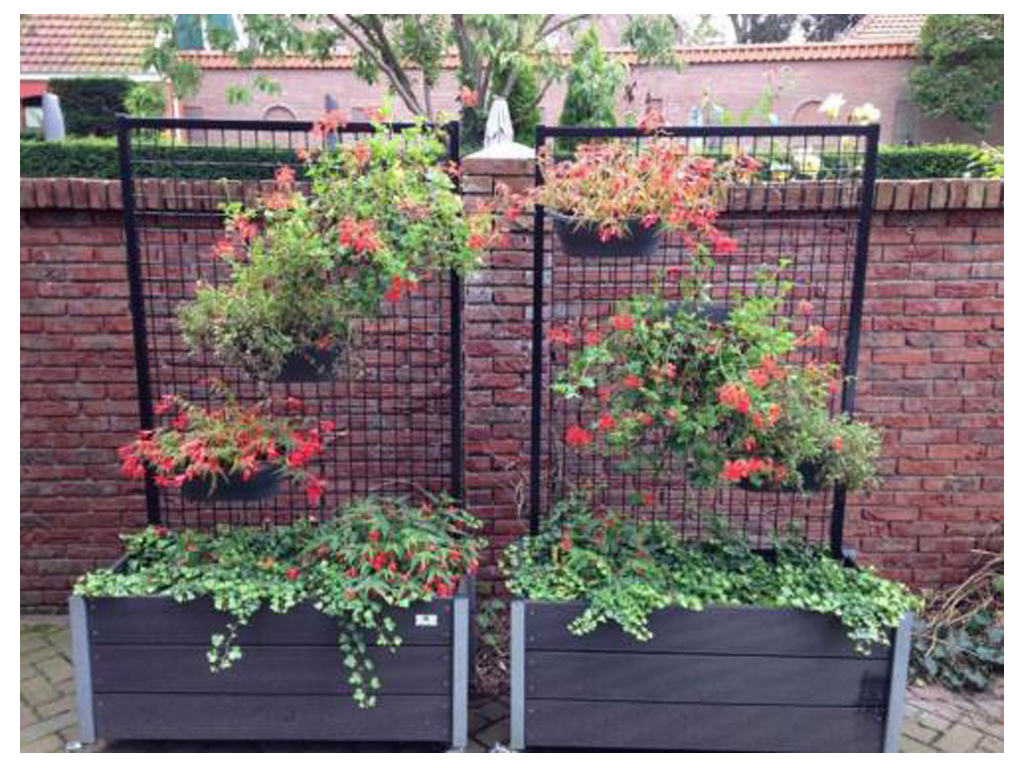 Foto: trellis bloemen 1