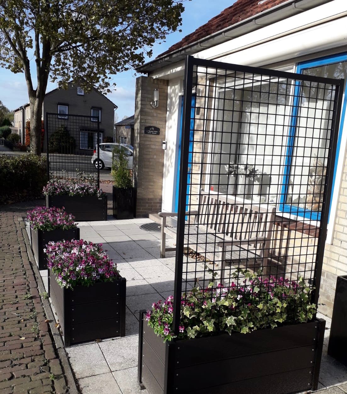 Foto: trellisbloembak met viooltjes