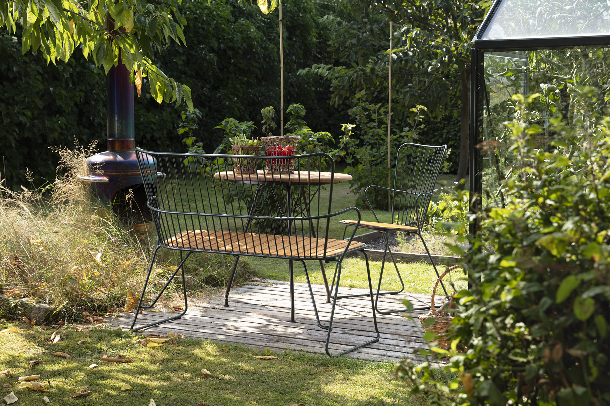 Foto: PAON CIRCUM J4A5532 2 low res