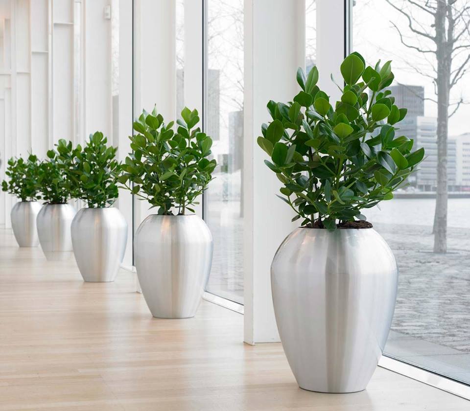 Foto: 10174777 665457266897277 7450647257507548061 n