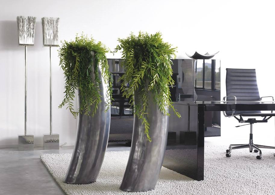 Foto: 10959503 665457270230610 7046834937263310597 n