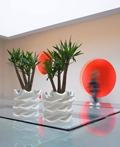 Foto: 11034261 679496275493376 5163140531895851574 n