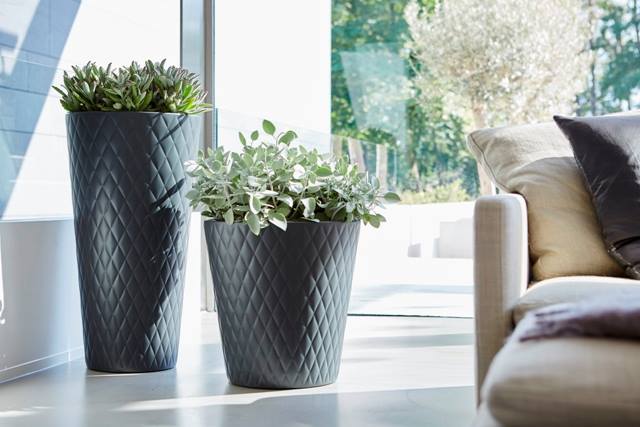 Foto: 12042877 774742779302058 8973829538630977534 n