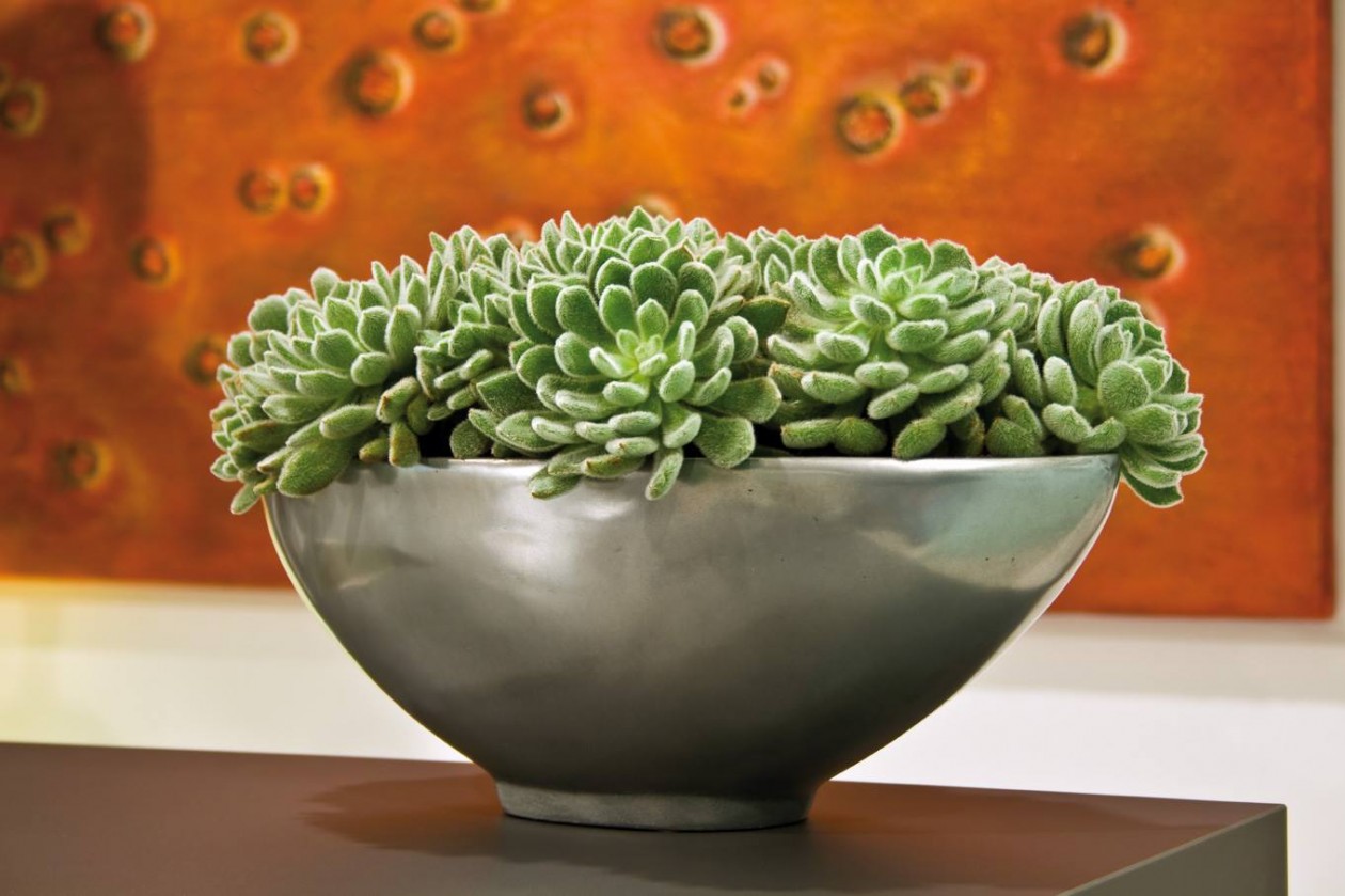 Foto: w3 10683475 596118583831146 5466539590810289328 o