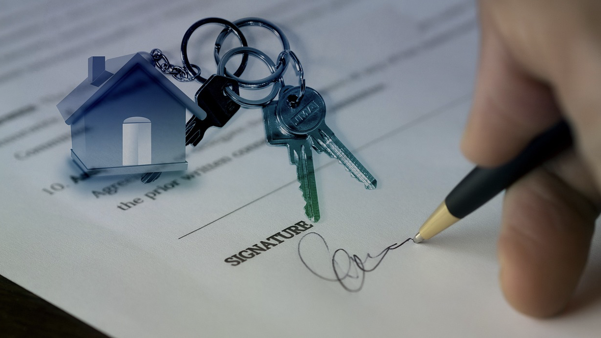 Foto: Scherm_shy_afbeelding_2023-11-17_om_14_07_01