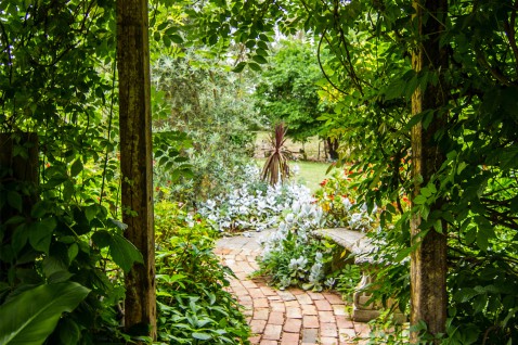 Foto : Ga voor een natuurlijke afscheiding voor je tuin met deze tips