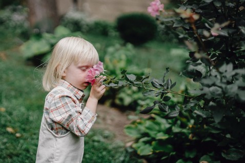 Foto : Een kindvriendelijke tuin