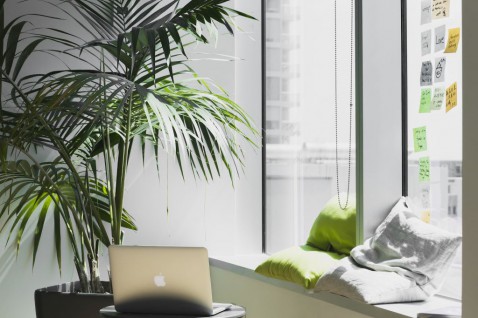 Foto : Hoe planten op kantoor de productiviteit kunnen verhogen