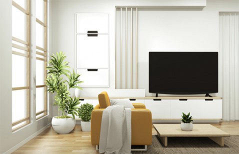 Foto : TV in de woonkamer? Waarom wel of niet?