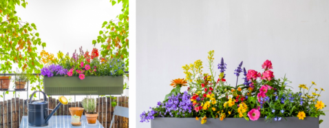 Foto : Je balkon zomerklaar met bloemetjes voor bijtjes