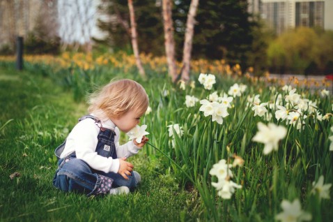Foto : Zo richt je de tuin kindvriendelijk in