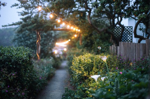 Foto : 6 Kleine dingen met groots effect voor je tuin of balkon