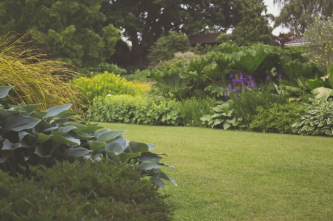Foto : Manieren om je tuin gezelliger te maken