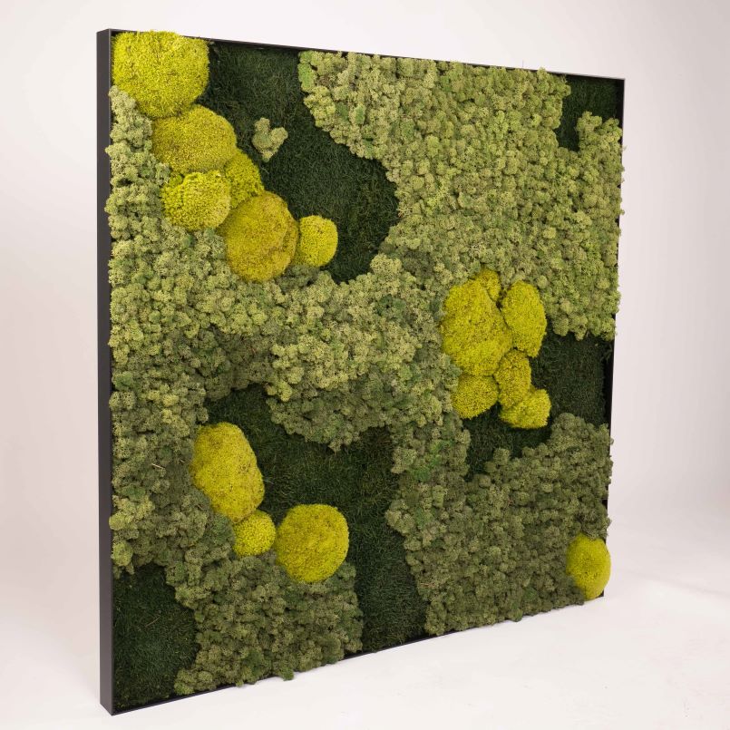 Foto: Mosschilderij-organic-vierkant