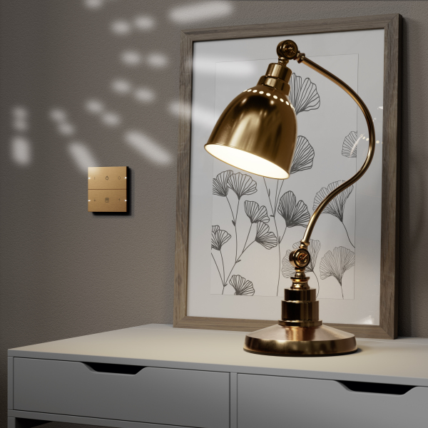 Foto: Schakelaar_Gira