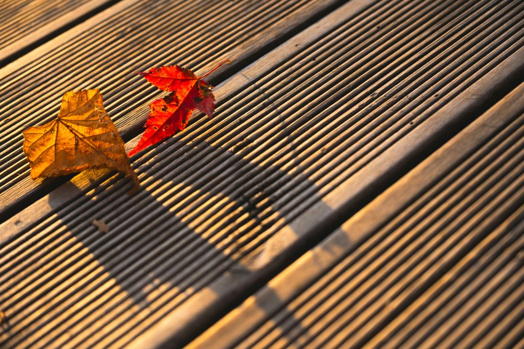 Foto: Wonennl-afbeelding-vlonderplank-434464