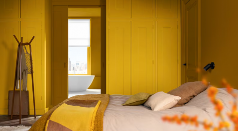 Foto : Ga ervoor met de Flexa Kleur van het Jaar 2025, True Joy™