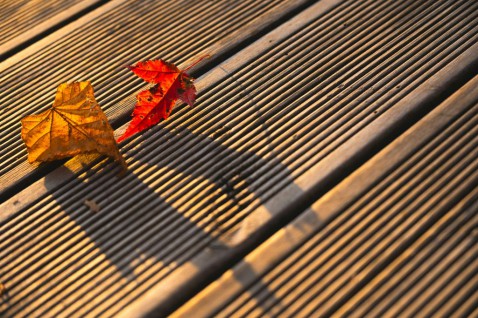 Foto : 7 Redenen Waarom Composiet Vlonderplanken de Slimste Keuze zijn voor Jouw Tuin