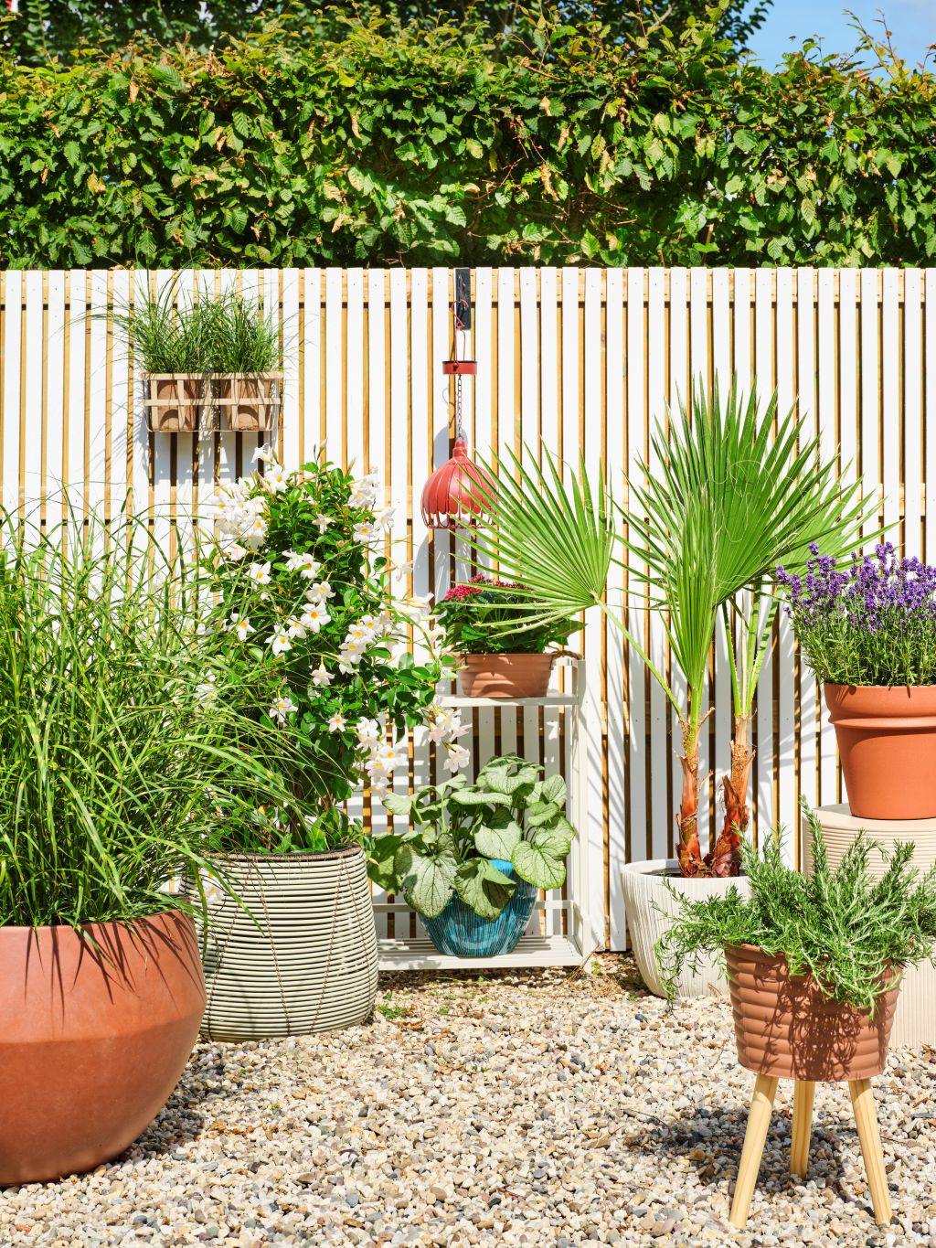 Foto: 20250818INTRA_Tuinmeubel26_16310wonen_nl