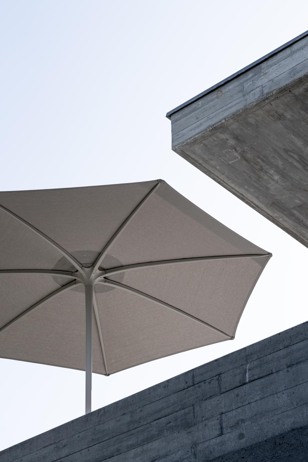Foto: PALMAPARASOL5_verkleind_141049