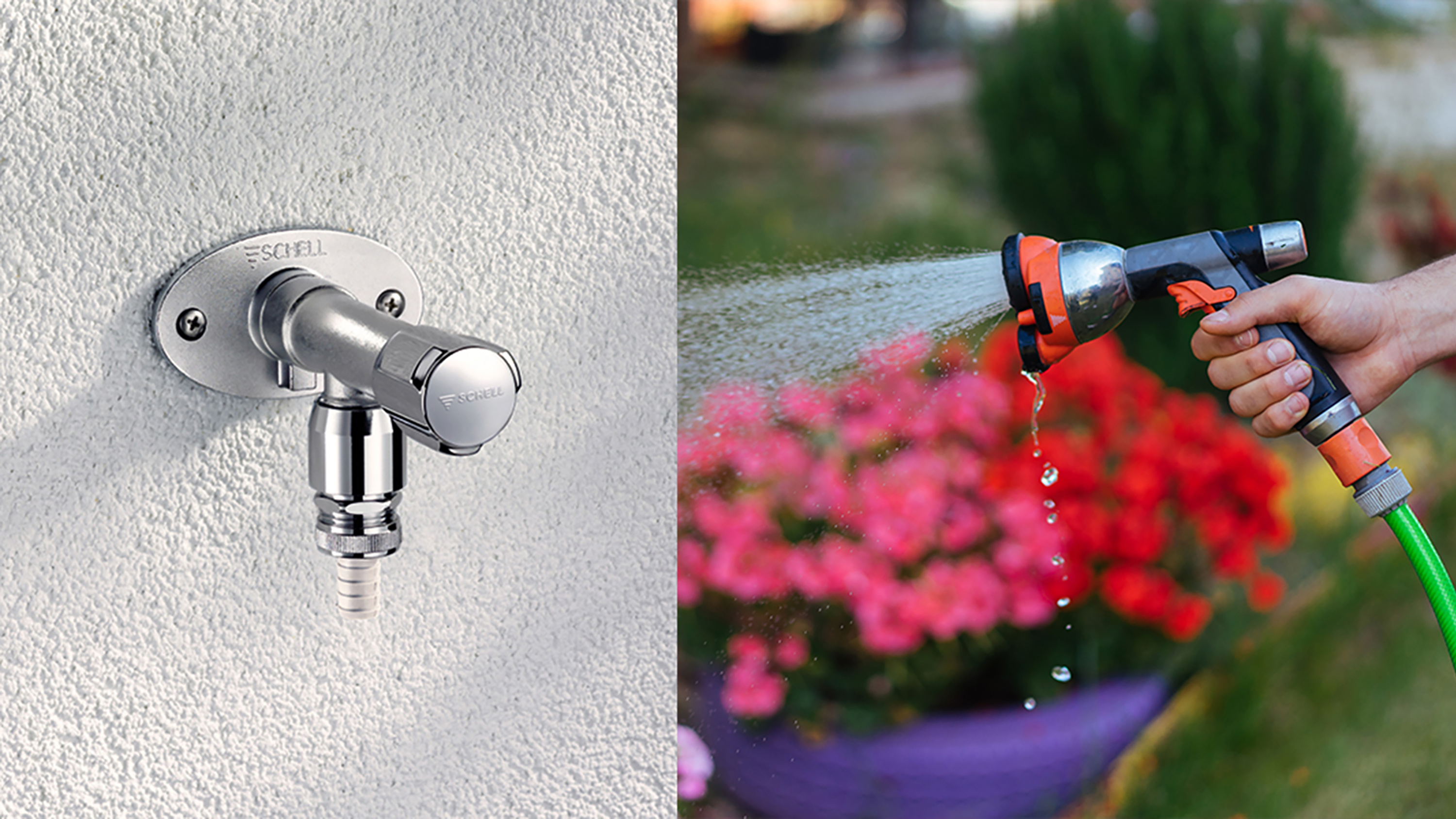 Foto: SCHELL_POLAR_II