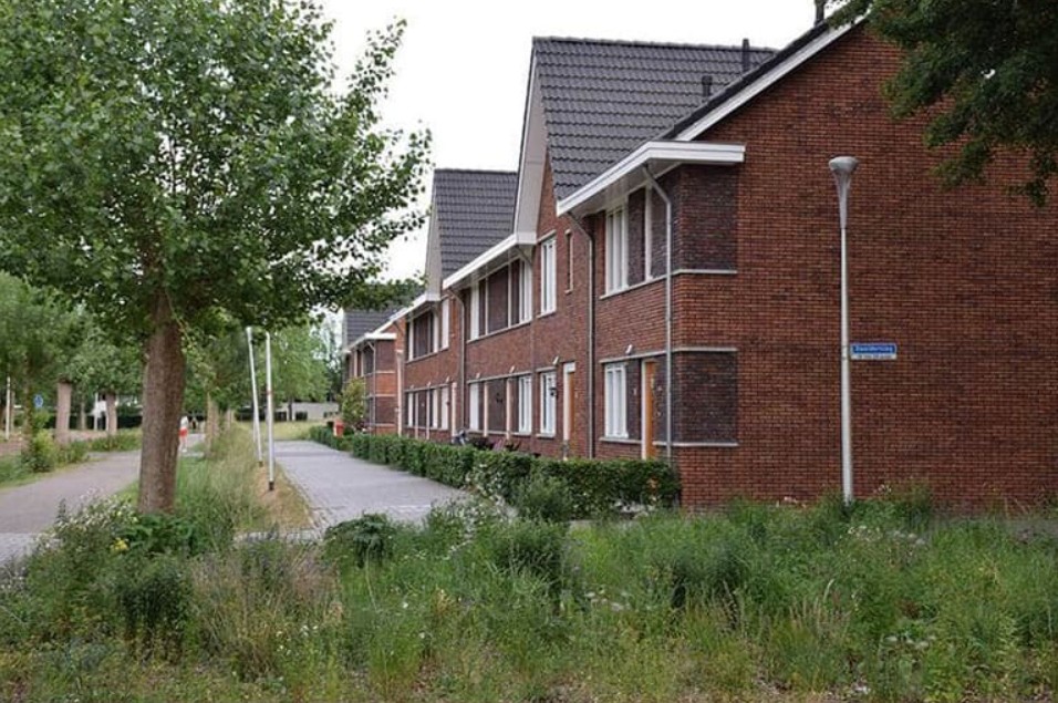 Foto: Wonenl-afbeelding-452354