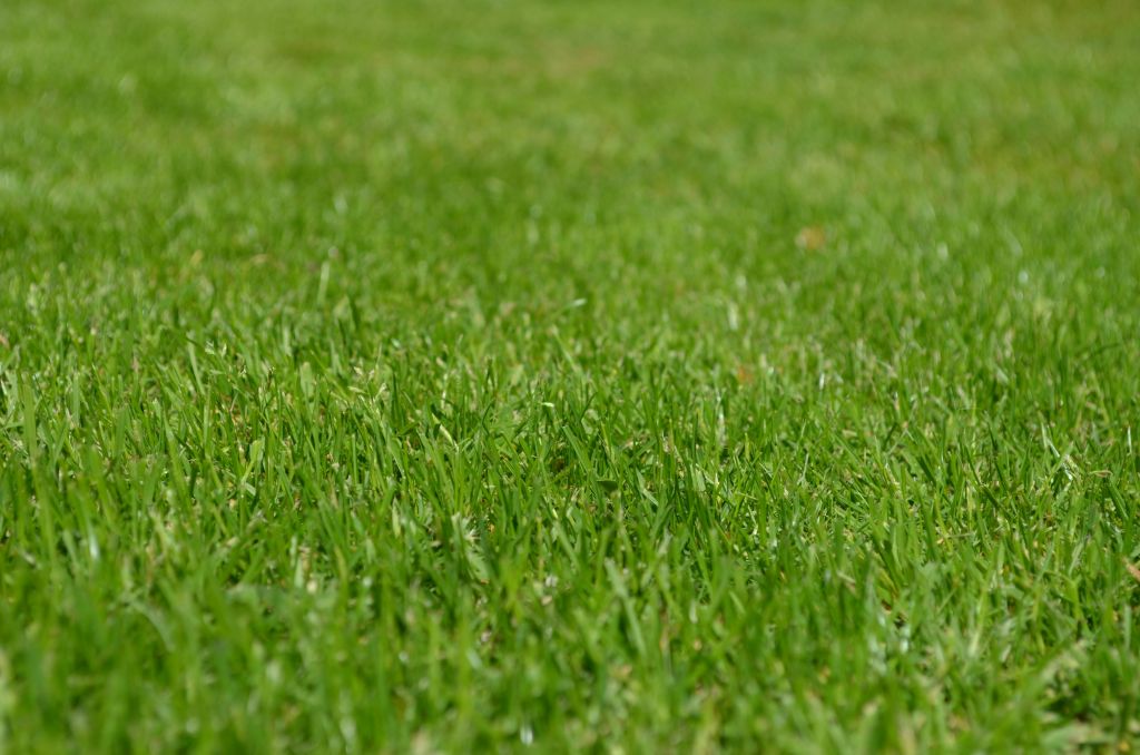 Foto: Wonennl-kunstgras-afbeelding