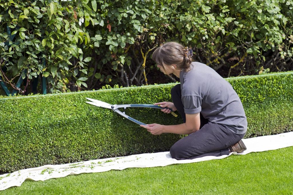 Foto: Wonennl-tuin-afbeelding-87438