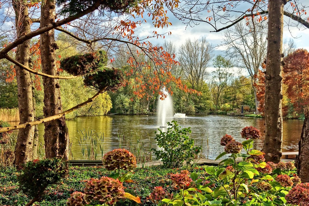 Foto: herfst-wonen-1280