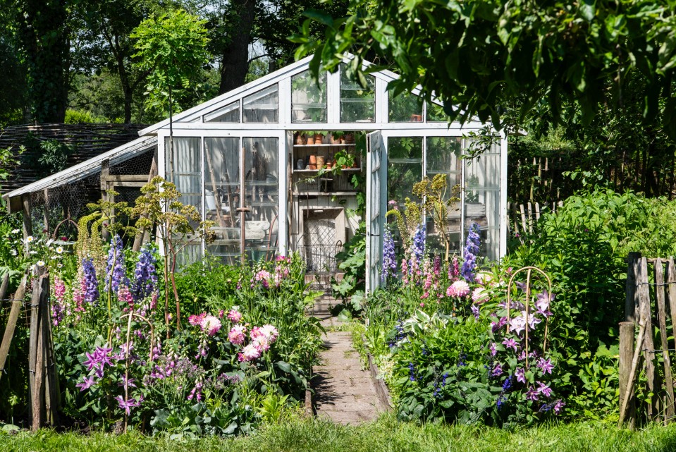 Foto: intratuin_wonen_nl