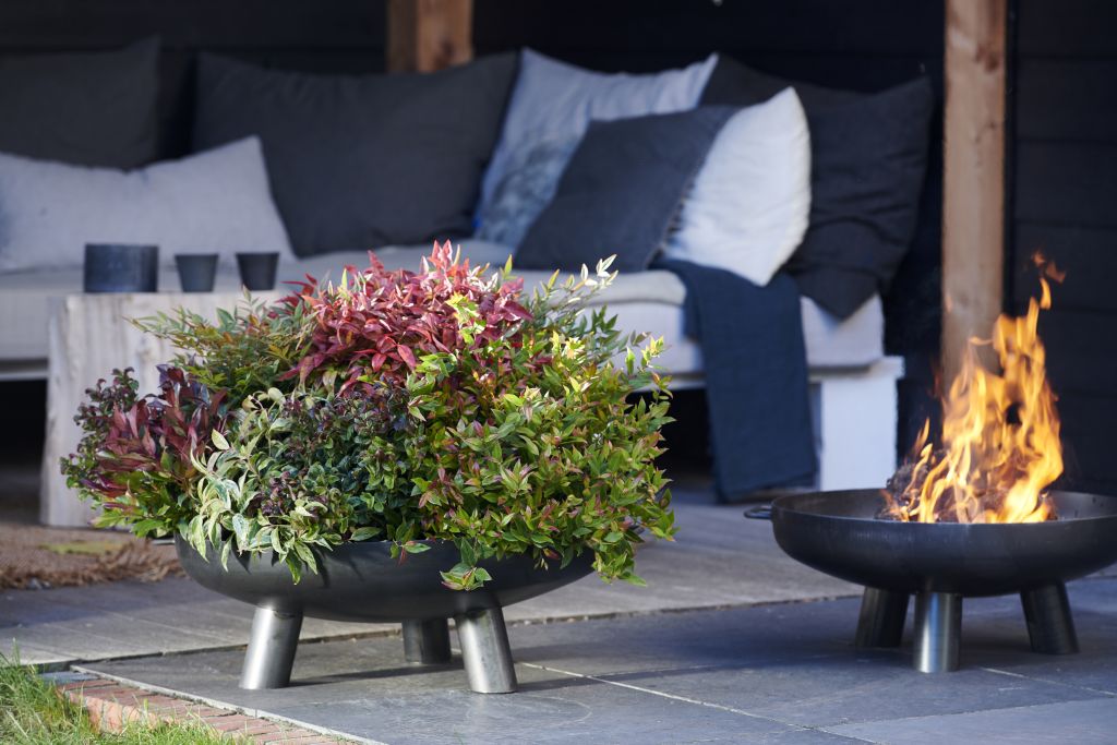 Foto: tuin_in_slaap_wonen_nl_tuinplanten