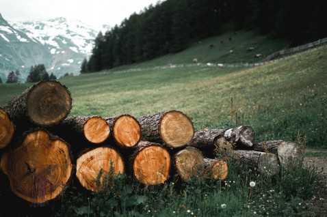 Foto : Waarom natuurlijke materialen de woontrend van de toekomst zijn
