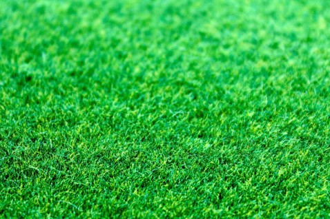 Foto : Kunstgras in de tuin: praktisch én sfeervol