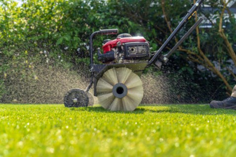 Foto : Kunstgras laten leggen past bij de trend naar onderhoudsarme tuinen