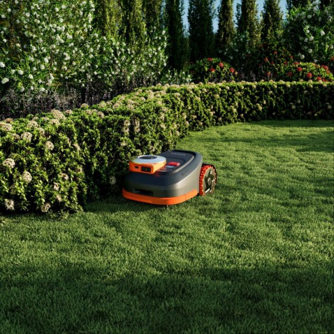 Foto : Hittegolven, droogte en je gazon: waarom robotmaaiers juist nu hun waarde bewijzen