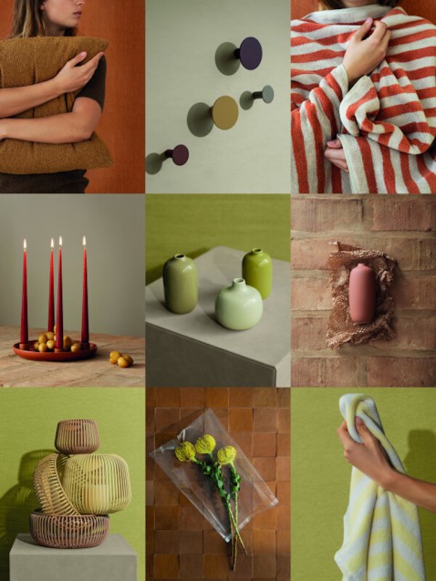 Foto : Celebration of Colours