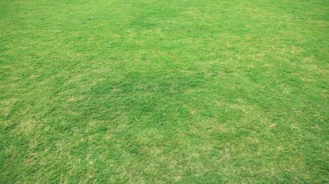 Foto : Kies de juiste afrastering voor een veilige tuin en omgeving