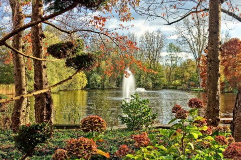Foto : Zo maak je je tuin herfstklaar