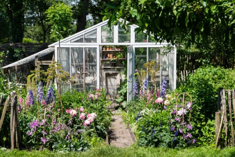 Foto : Intratuin: ‘het nieuwe tuinieren is meer dan een trend’