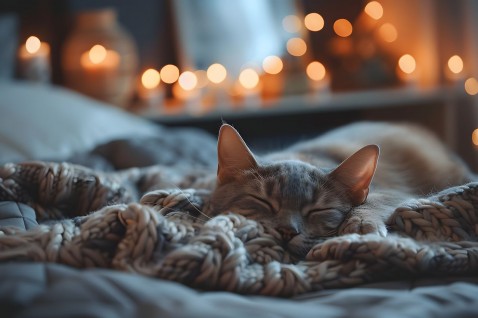 Foto : 5 slimme tips voor een rustgevende oase in huis