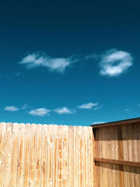 Foto : Houtsoorten voor je schutting vergeleken: welke past bij jouw tuin?