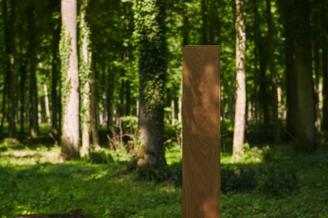 Foto : FSC®-gecertificeerd hout: wat het betekent en waarom het belangrijk is.