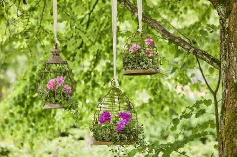 Foto : Tuinieren in de lucht