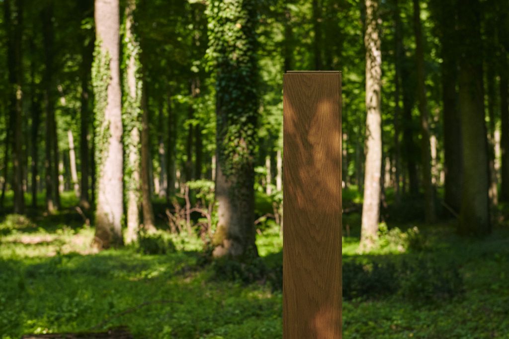 Foto: wonen_RS7238_250512_kroatien_03_-_Spacva_Forest_1664