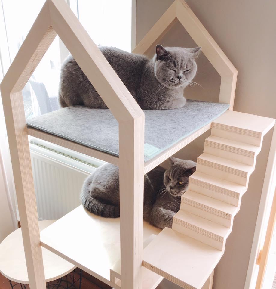 Geurloos hebzuchtig beloning In deze mooie design kattenhuisjes wil elke kat wel slapen! -  manden-en-bedden - huisdier - WONEN.nl