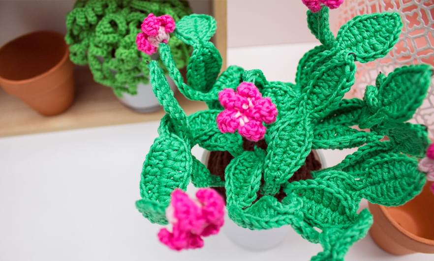 бисероплетение цветы декабрист. декабрист из бисера. вьющийся цветок из бисера. как связать декабриста. как связать декабриста.